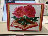Sandra Bever review photo