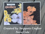 Snippets Crafter review photo