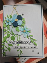 Tina Moe review photo