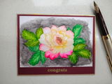 Mehnaz review photo