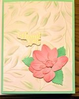 Kathy Kuehnle review photo