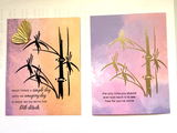 Candace Hodson review photo