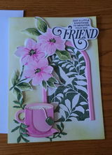 Carol Speck review photo
