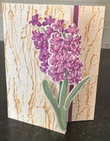 Alicia Enderle review photo