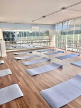 Marisol X. review photo