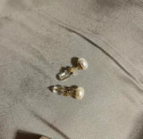 AKCH review photo