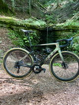 marco m. review photo