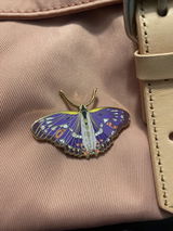 Polly review photo