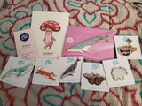 Adell review photo