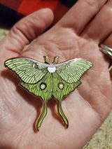 Velva review photo