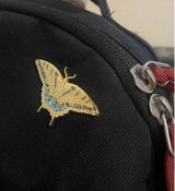 Angelica review photo