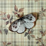 Hattie review photo