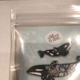 Kailey review photo