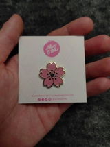 Dandre review photo