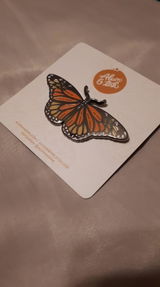 Beatrice review photo