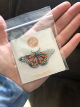 Jaunita review photo