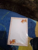 Yasmeen review photo
