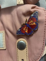 Polly review photo
