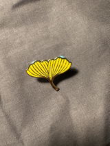 Shania review photo