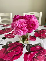 Gina Depaola review photo