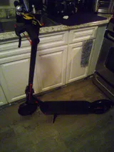 Fredi review photo