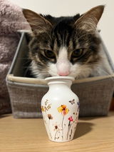 Etsy customer review photo