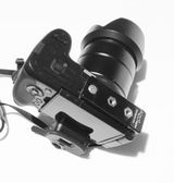 Albert Cardwell review photo