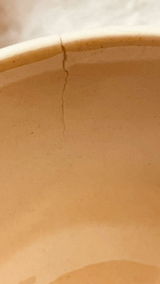Aparajita Agrawal review photo