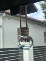 S.C. review photo