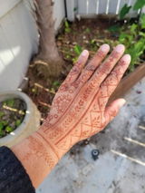 Tasnim review photo