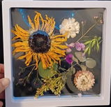 Anthony Fuentes review photo
