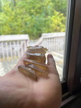 Xavier review photo