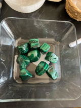 Meagan review photo