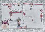 sle review photo