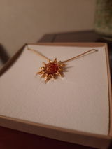 Coraly B. review photo