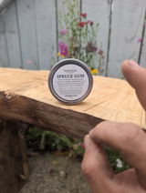 iseebc review photo