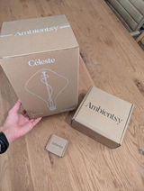 Ed Castelino review photo