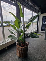 Anonym review photo