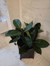 Anne Grete Kristoffersen review photo