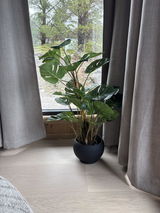 Anonym review photo
