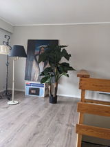 Tore Einang review photo