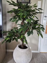 Anonym review photo