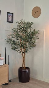Aud Siri Egeland review photo
