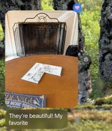 Amy Ingalls review photo