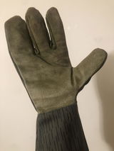 BC review photo