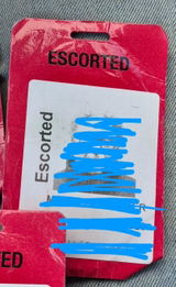 Cadenn PPerrry review photo