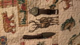 The AP Field Watch