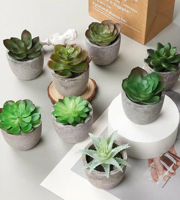 Potted Artificial Succulent Plants Set of 5 Small Faux Succulent with Pots