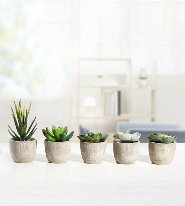 Artificial Succulents in Ceramic pots