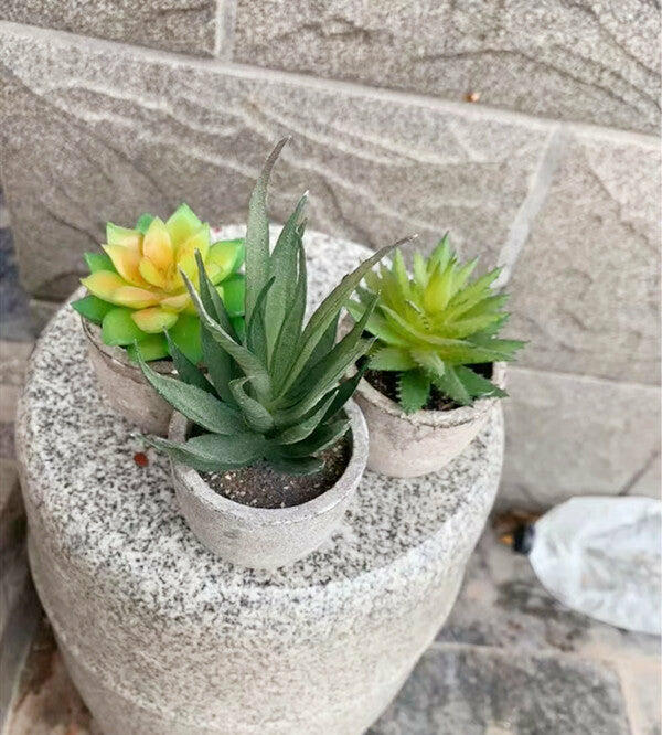 Artificial Succulents Mini Fake Plants Unpotted Faux Succulent 12 pcs